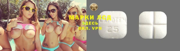 spice Алексеевка