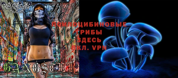 дурь Алзамай