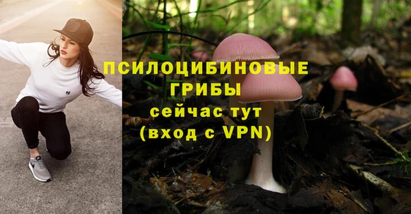 дурь Алзамай