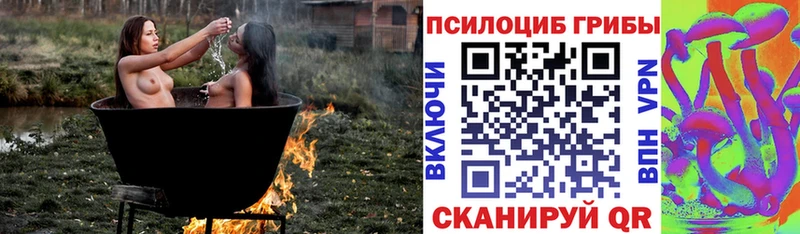 Псилоцибиновые грибы ЛСД  Пыталово 