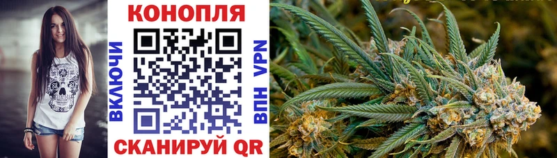 Марихуана индика  продажа наркотиков  Пыталово 